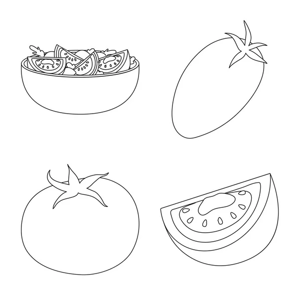 Projeto vetorial de tomate e logotipo da dieta. Conjunto de tomate e símbolo de estoque de agricultura para web . — Vetor de Stock