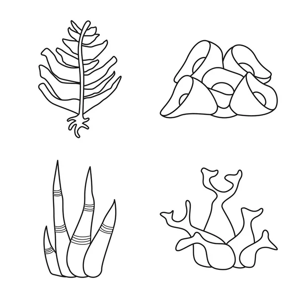 Design vettoriale del simbolo del mare e dell'oceano. Set di icone vettoriali del mare e della flora per stock . — Vettoriale Stock