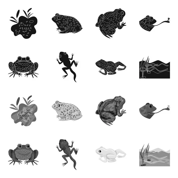 Vektor illustration av djur-och bog-logotypen. Uppsättning av vilda djur och reptiler Stock symbol för webb. — Stock vektor
