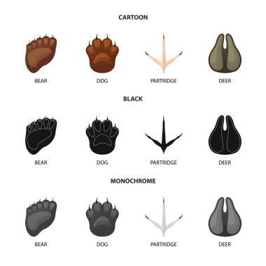 Adım ve yürüyüş sembolü vektör tasarımı. Adım ve fauna stok vektör illüstrasyon seti.