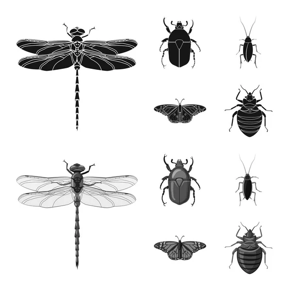 Vektordesign von Insekten- und Fliegenlogo. Sammlung von Insekten- und Elementlagersymbolen für das Netz. — Stockvektor