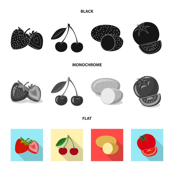 Objeto isolado de ícone vegetal e frutífero. Coleção de símbolo de estoque vegetal e vegetariano de web . — Vetor de Stock