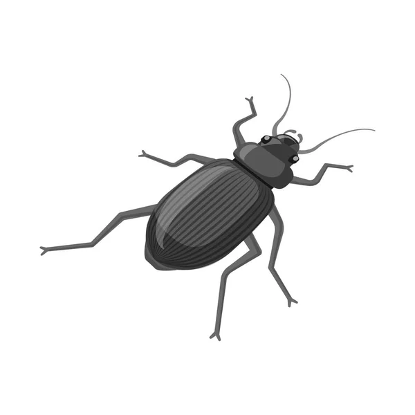 Illustration vectorielle du coléoptère et signe de jardin. Jeu de coléoptères et d'icônes vectorielles de bugs pour stock . — Image vectorielle