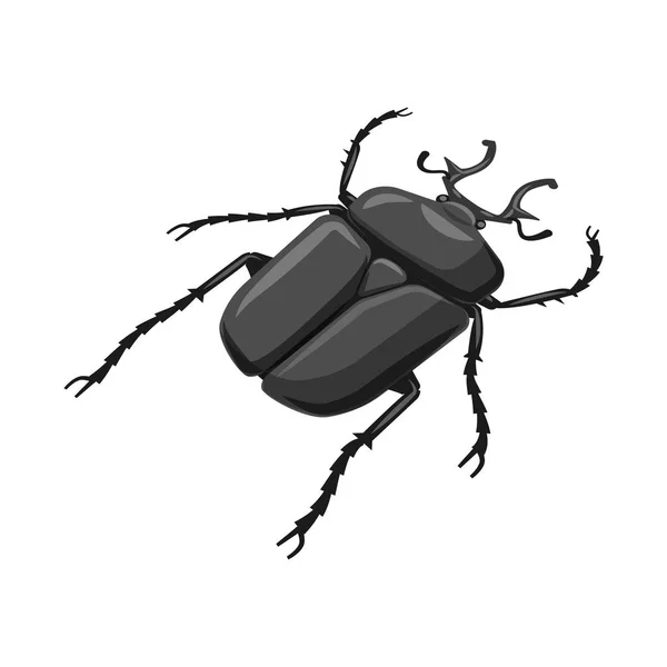 Objeto isolado de escaravelho e logotipo do bug. Coleção de besouro e símbolo de estoque de verão de web . — Vetor de Stock