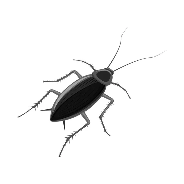 Isolated object of cockroach and pest icon. Set of cockroach and dirty stock vector illustration. — Stock Vector