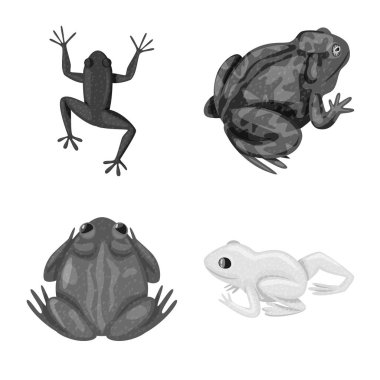 Vahşi ve doğa işareti izole nesne. Vahşi ve bataklık stok vektör çizim koleksiyonu.