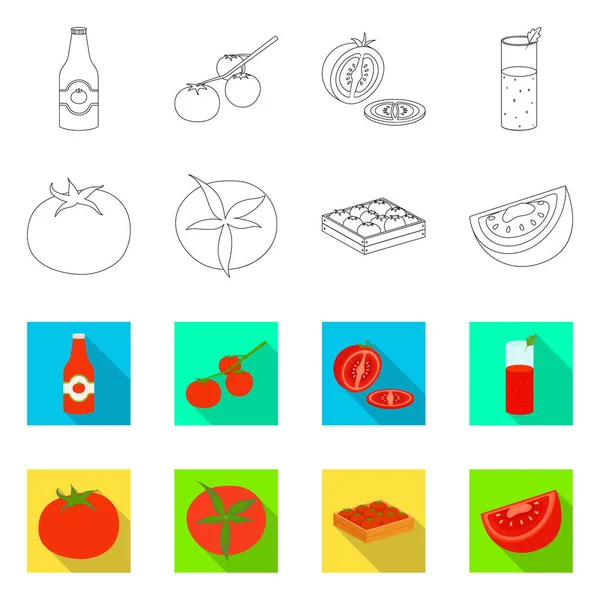 Векторная иллюстрация овощного и вкусного логотипа. Набор символов растительного и природного запаса для паутины . — стоковый вектор