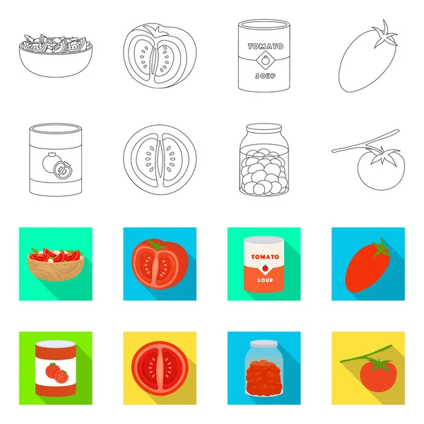 Illustration vectorielle de légumes et logo délicieux. Ensemble d'icône vectorielle végétale et naturelle pour stock . — Image vectorielle