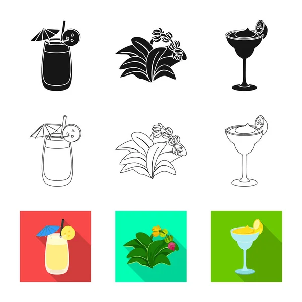 Illustration vectorielle du signe naturel et végétarien. Collection d'icônes vectorielles naturelles et alimentaires pour stock . — Image vectorielle