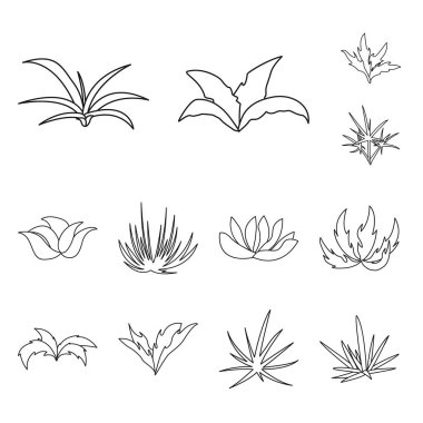 Çit ve çalı sembolü izole nesne. Çit ve çiçek stok vektör illüstrasyon seti.