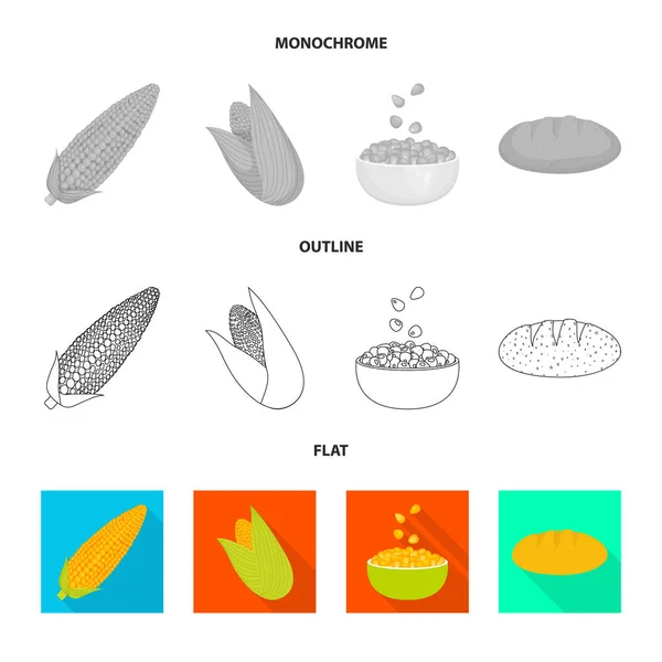 Projeto vetorial do campo de milho e ícone vegetal. Conjunto de milheiral e símbolo de estoque vegetariano para web . — Vetor de Stock