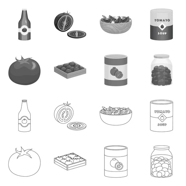 Απεικόνιση διάνυσμα λαχανικών και νόστιμο λογότυπο. Σετ εικονογράφησης φυτικών και φυσικών αποθεμάτων. — Διανυσματικό Αρχείο