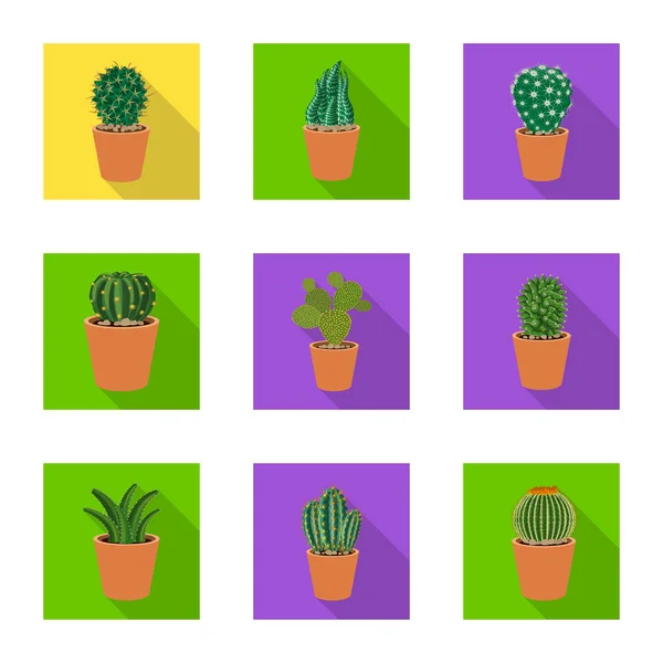 Vector illustration of cactus and pot icon. Collection of cactus and cacti vector icon for stock. — Stock Vector