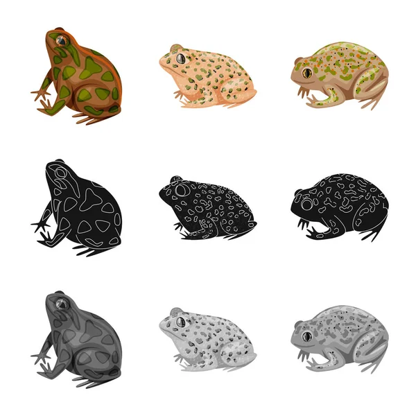 Isolerat objekt av vilda djur och bog tecken. Uppsättning av vilda djur och reptiler Stock Vector illustration. — Stock vektor