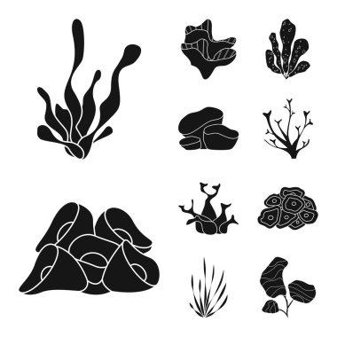 Dekorasyon ve yaban hayatı sembolü vektör tasarımı. Stok için dekorasyon ve akvaryum vektör simgesi koleksiyonu.