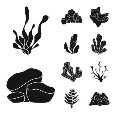 Dekorasyon ve yaban hayatı işareti vektör tasarımı. Web için dekorasyon ve akvaryum stok sembolü Koleksiyonu.