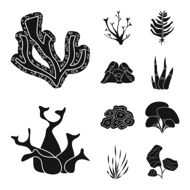 Dekorasyon ve yaban hayatı logosu izole nesne. Dekorasyon ve akvaryum stok vektör illüstrasyon seti.