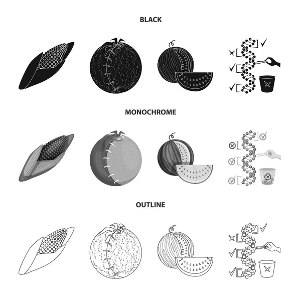 Oggetto isolato di prova e logo sintetico. Serie di illustrazioni vettoriali di prova e di laboratorio . — Vettoriale Stock