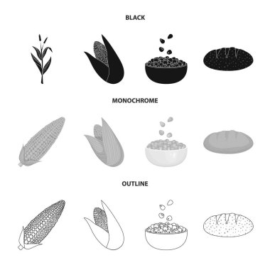 Mısır tarlası ve sebze işareti vektör çizimi. Mısır tarlası ve hisse senedi için vejetaryen vektör ikon koleksiyonu.