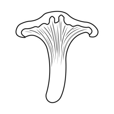 Mantar ve chanterelle işareti izole nesne. Mantar ve sonbahar stok vektör illüstrasyon koleksiyonu.