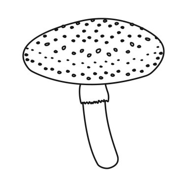 Mantar ve amanita işareti vektör illüstrasyon. Mantar ve kırmızı stok vektör illüstrasyon koleksiyonu.