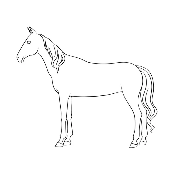 Projeto vetorial de cavalo e ícone branco. Coleta de cavalo e ilustração do vetor de estoque com cascos . — Vetor de Stock
