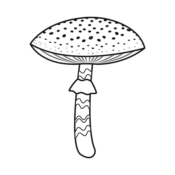 Objet isolé du logo amanita et phalloides. Collection d'illustration vectorielle amanita et cap stock . — Image vectorielle