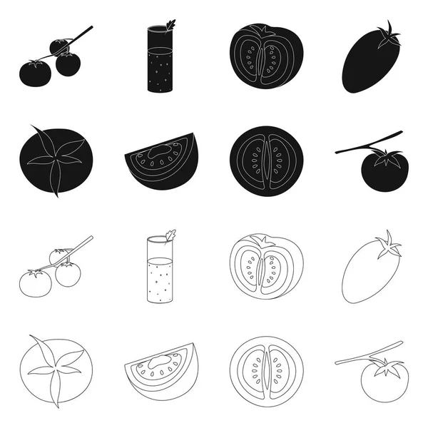 Изолированный объект из овощей и вкусной иконы. Коллекция растительных и природных символов запасов для паутины . — стоковый вектор