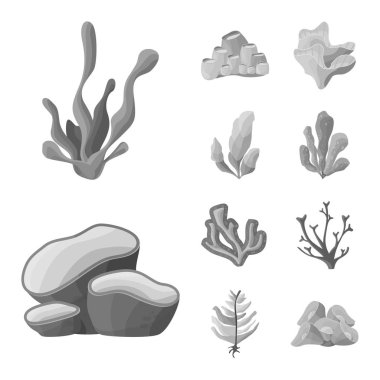 Botanik ve flora sembolü vektör tasarımı. Web için botanik ve doğa stok sembolü seti.