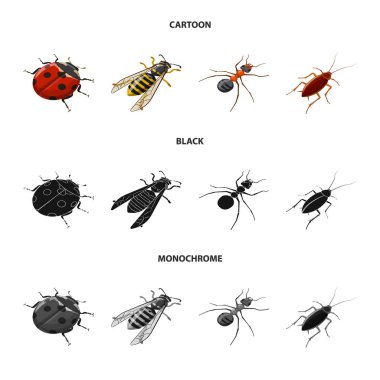 Doğa ve yaban hayatı sembolü vektör illüstrasyon. Doğa ve kanat stok vektör illüstrasyon seti.