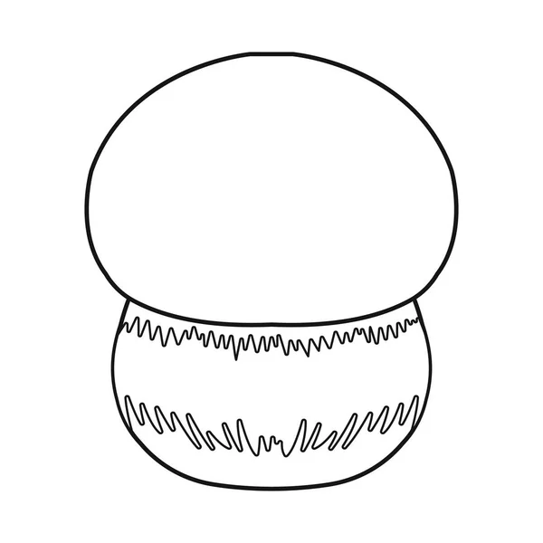 Desenho vetorial de cogumelo e símbolo de boleto. Conjunto de cogumelo e ícone vetorial orgânico para estoque . — Vetor de Stock