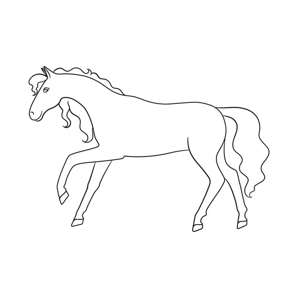 Objeto aislado del icono del caballo y el hipódromo. Conjunto de caballo y caballo stock vector ilustración . — Archivo Imágenes Vectoriales