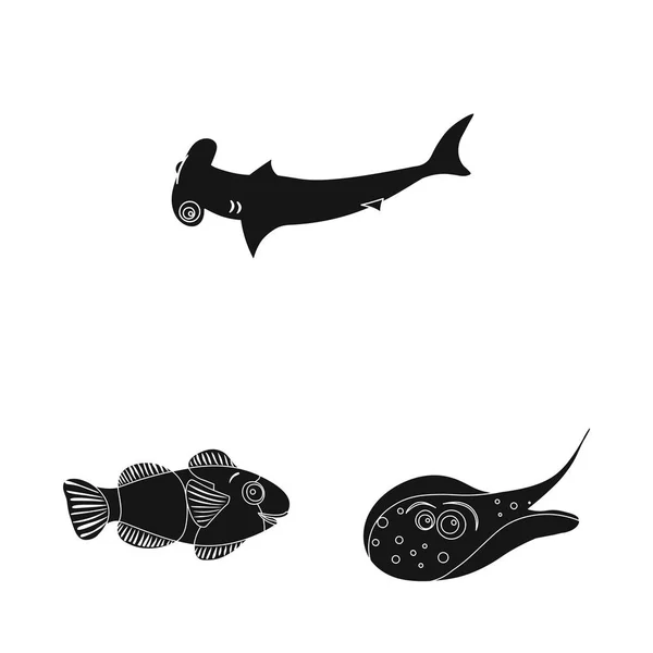 海や動物のロゴのベクター デザイン。海と株式のマリン ベクトル アイコンのセット. — ストックベクタ