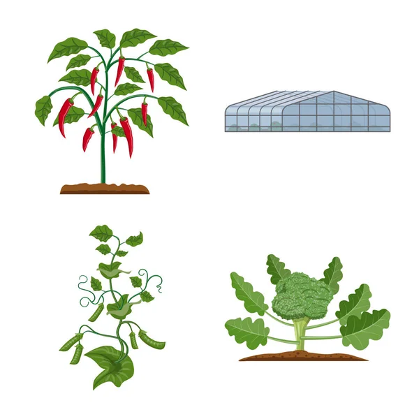 温室和植物标志的向量例证。温室和庭院股票载体例证的汇集. — 图库矢量图片