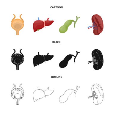 Vücut ve insan simge vektör tasarımı. Vücut ve web için tıbbi hisse senedi simgesi toplama.