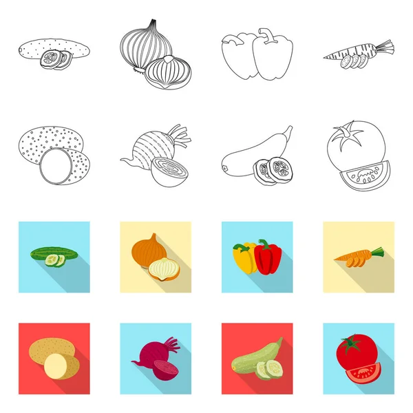 Objeto aislado de logotipo de frutas y verduras. Colección de icono de vector vegetal y vegetariano para stock . — Vector de stock