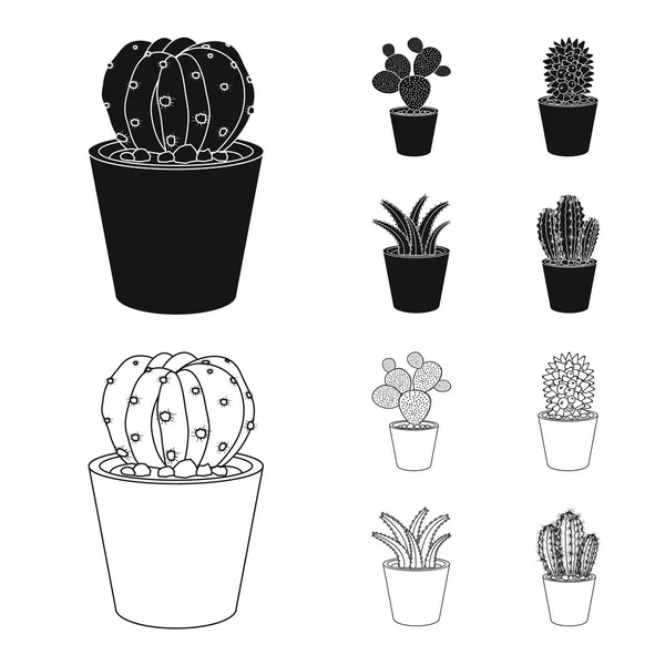 Illustration vectorielle du cactus et signe du pot. Collection d'icônes vectorielles cactus et cactus en stock . — Image vectorielle