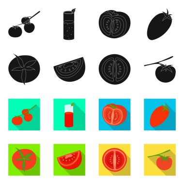 Sebze ve lezzetli ikonun izole edilmiş nesnesi. Stok için sebze ve doğal vektör ikonu koleksiyonu.