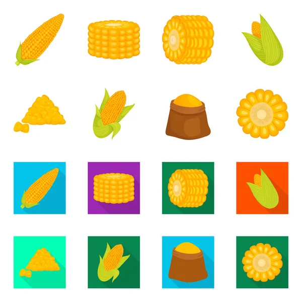 Vektorillustration von Maisfeld und Gemüsesymbol. Set aus Maisfeld und Vegetarier-Vektor-Symbol für Aktien. — Stockvektor