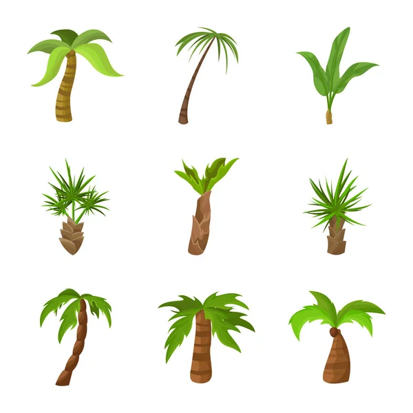 Ilustración vectorial del logotipo del árbol y la playa. Colección de árbol e ilustración de vectores de stock de verano . — Vector de stock