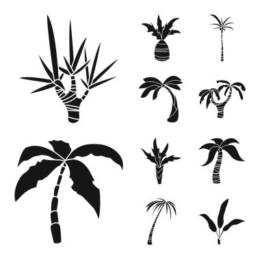 Seyahat ve ekoloji sembolü vektör tasarımı. Stok lar için seyahat ve plaj vektör simgesi seti.