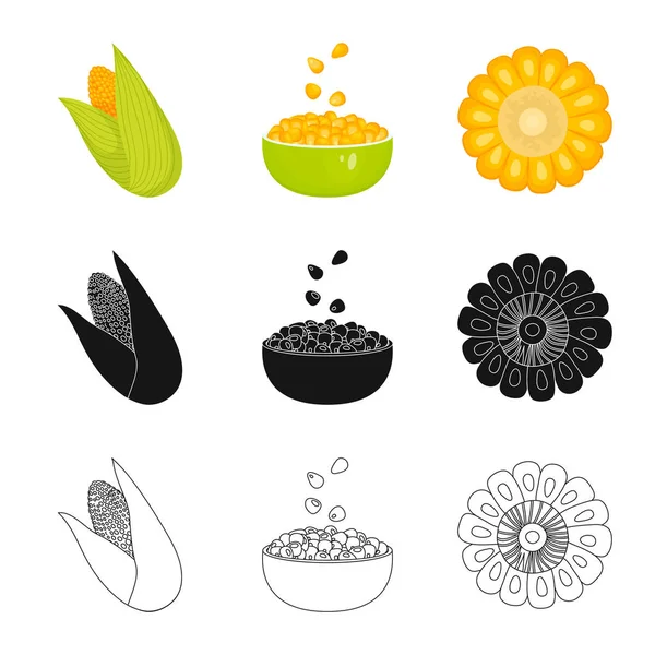 Conception vectorielle du champ de maïs et du logo végétal. Ensemble d'illustration vectorielle de champ de maïs et de bouillon végétarien . — Image vectorielle