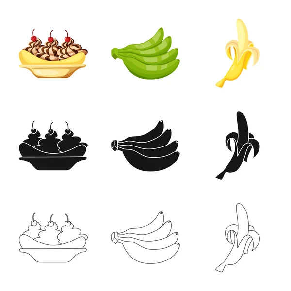 Векторная иллюстрация природного и вегетарианского символа. Коллекция природных и пищевых символов для паутины . — стоковый вектор