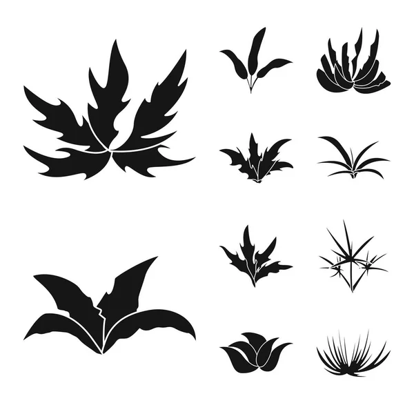 Vector illustration of nature and environment symbol. Collection of nature and grass stock vector illustration. — Stock Vector