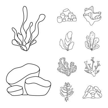 Deniz ve okyanus logosu vektör tasarımı. Deniz ve flora stok vektör illüstrasyon seti.