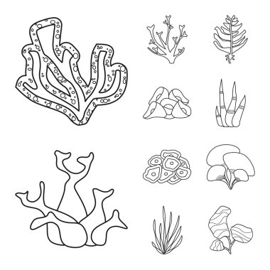 Deniz ve okyanus logosunun izole nesnesi. Stok için deniz ve flora vektör simgesi seti.