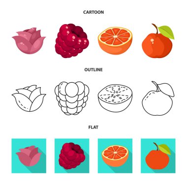 Taze ve kırmızı sembolün vektör tasarımı. Taze ve organik stok vektör illüstrasyon koleksiyonu.