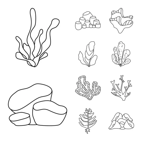 Deniz ve okyanus logosu vektör tasarımı. Deniz ve flora stok vektör illüstrasyon seti.