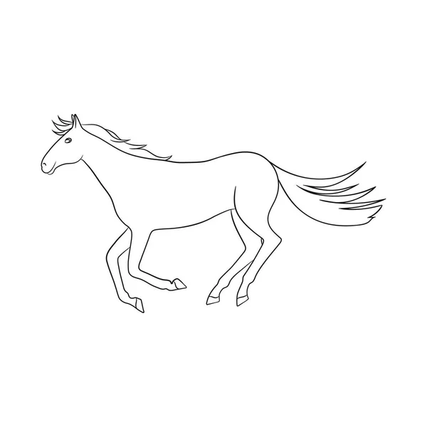Vektor-Design von Pferd und Hippodrom-Zeichen. Sammlung von Pferde- und Springpferdevektorillustrationen. — Stockvektor