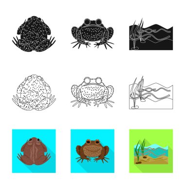 Vahşi yaşamın ve bataklık sembolünün vektör çizimi. Ağ için vahşi yaşam ve sürüngen sembolü seti.
